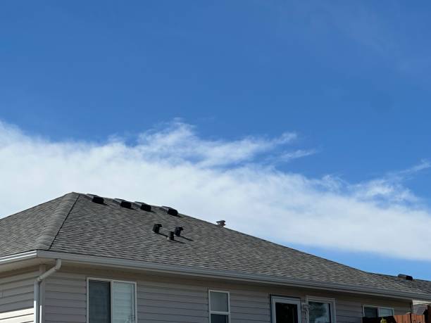 Best Roof Coating and Sealing  in Cedar Hill, MO